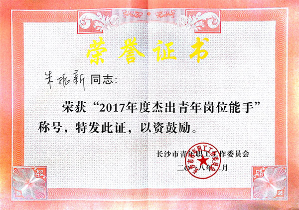 9888拉斯维加斯官网智能朱振新荣获长沙市2017年度杰出青年岗位能手