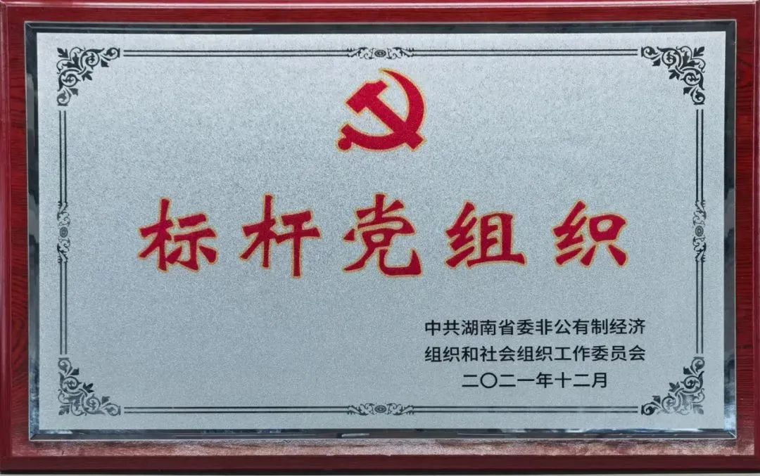 党建品牌亮起来！9888拉斯维加斯官网智能党委获评“标杆党组织”